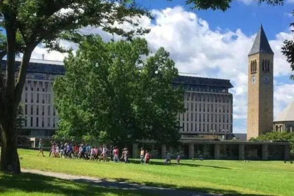 奥克兰大学计算机学院在哪个校区?这一专业前景如何?